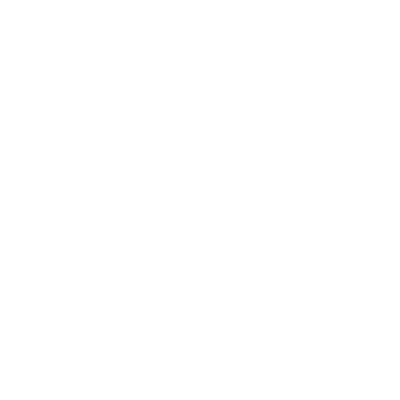 茶色の猫